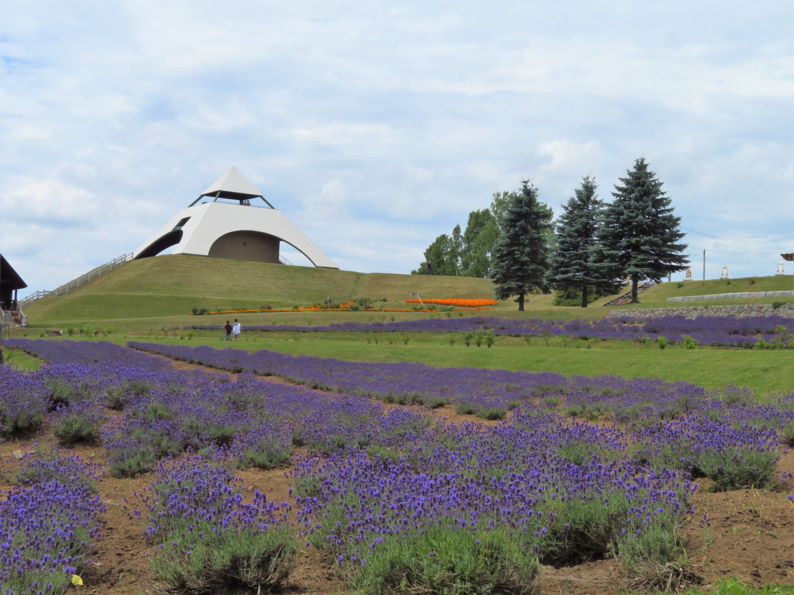 🏞️ 살구의 언덕 (안즈노오카) 이미지 6